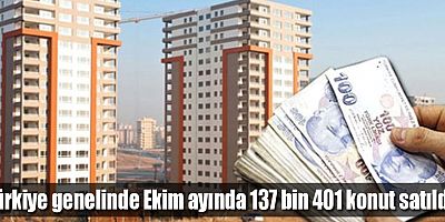 Türkiye genelinde Ekim ayında 137 bin 401 konut satıldı  