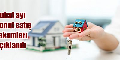 Şubat ayı konut satış rakamları açıklandı