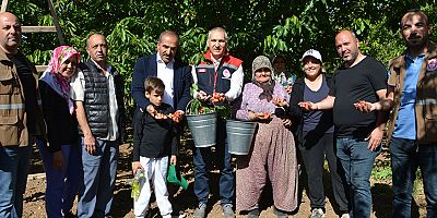 Türkiye, kiraz ihracatında 300 milyon dolar hedefliyor