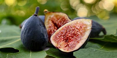 Türkiye'nin incirdeki yeni yıldızı 