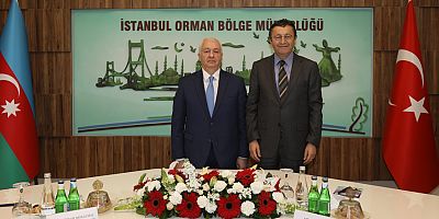 Türkiye ve Azerbaycan orman yangınlarına karşı iş birliği yapacak