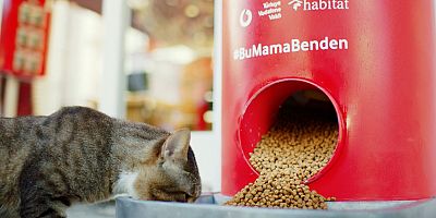 Türkiye Vodafone Vakfı'ndan 