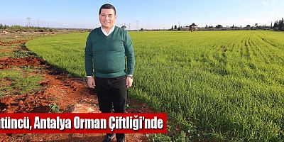Tütüncü, Antalya Orman Çiftliği’nde