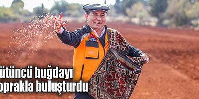 Tütüncü buğdayı toprakla buluşturdu
