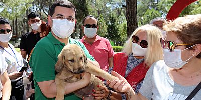 Tütüncü, sokak canlarının hep yanında