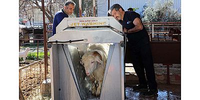 Ücretsiz parazit uygulaması üreticinin yüzünü güldürdü