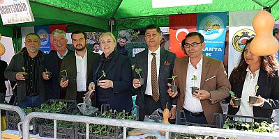 Ücretsiz su kabağı ve lif fidesi dağıtımı başladı