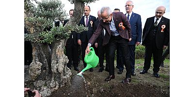 Ulaştırma Projeleri kapsamında 96,7 milyon fidan toprakla buluşturuldu