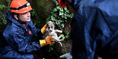 ‘Umut’a hayat oldular
