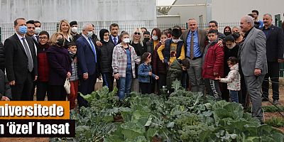 Üniversitede en ‘özel’ hasat