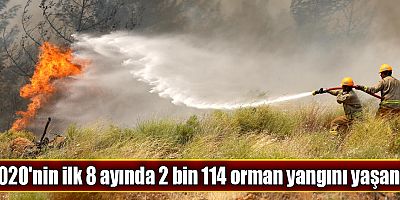 Ünlüler orman yangınları için çağrıda bulundu