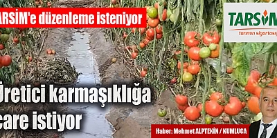 Üretici karmaşıklığa çare istiyor