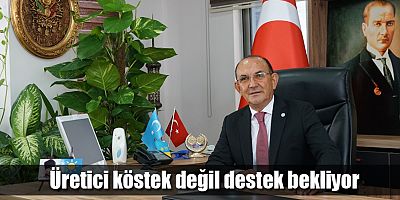 Üretici köstek değil destek bekliyor