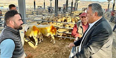 Üretici: “Okul kıyafeti alabilmek için koyunları satıyoruz”