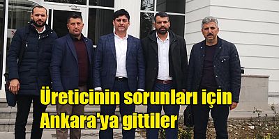 Üreticinin sorunları için Ankara'ya gittiler