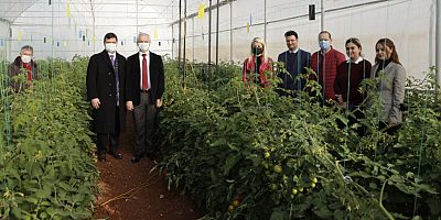 Ürüne özgü sera plastiği çalışmalarında ilk hasat heyecanı