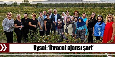 Uysal, ‘İhracat ajansı şart’