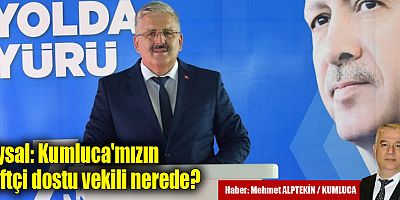 Uysal: Şov yapmaktan başka yapabildikleri yok