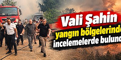 Vali Şahin yangın bölgelerinde incelemelerde bulundu