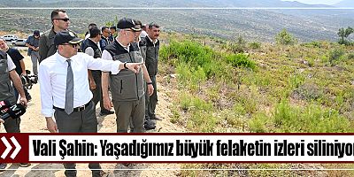 Vali Şahin: Yaşadığımız büyük felaketin izleri siliniyor