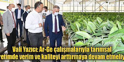 Vali Yazıcı: Ar-Ge çalışmalarıyla tarımsal üretimde verim ve kaliteyi arttırmaya devam etmeliyiz