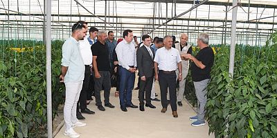 Vali Yazıcı: Tarımın öncü şehri Antalya'da, tarım odaklı çalışmalarımıza devam ediyoruz