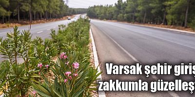 Varsak şehir girişi zakkumla güzelleşti