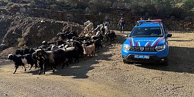 Vatandaşın Mağduriyetine Jandarmadan Anında Müdahale