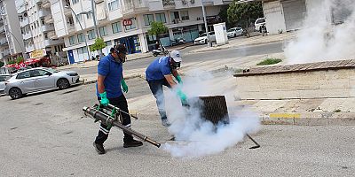 Vektörle mücadele 19 ilçede yoğun bir şekilde sürdürülüyor 