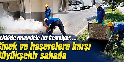 Vektörle mücadele hız kesmiyor, sinek ve haşerelere karşı Büyükşehir sahada