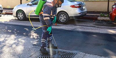 Vektörle mücadele kış aylarında da sürüyor