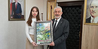 Vergi hayat katar