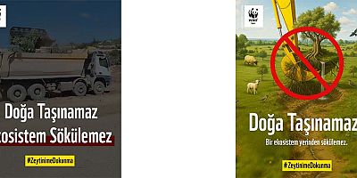 WWF-Türkiye'den Anayasa Mahkemesi'ne Çağrı: “Doğa Taşınamaz, Ekosistem Yerinden Edilemez”