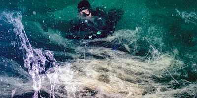 WWF-Türkiye'den Marmara'daki Müsilaj Kâbusu için Çağrı: “Acil eylem, planlarda kalmasın”