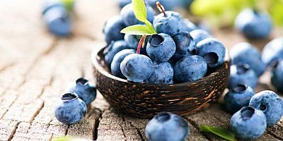 Yaban mersininin 10 faydası