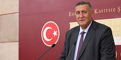 Yabancılar gözü altın madenine dikti