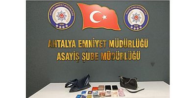 Yağma ve Kapkaç Olaylarının Şüphelisi Tutuklandı