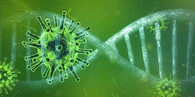 Yakın Doğu Üniversitesi