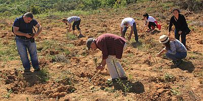 “Yanan alanlarda fidan dikiminde acele edilmemeli”