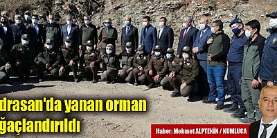 Yanan yerler ağaçlandırıldı