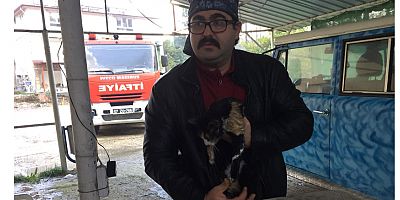 Yangında boğulmak üzere olan kediye yardım eli