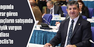 Yangında zarar gören ağaçların satışında büyük vurgun iddiası Meclis'te