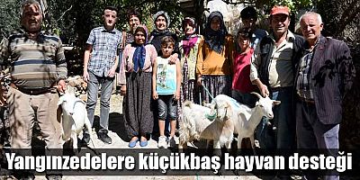 Yangınzedelere küçükbaş hayvan desteği