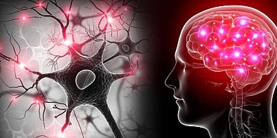 Yapay Zeka, Disleksi ve Otizm’in Erken Tanısında Yüzde 98'e Varan Doğruluk Sağladı