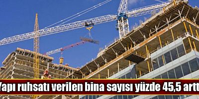 Yapı ruhsatı verilen yapıların yüzölçümü %40