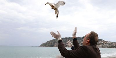 Yaralı martı tedavi edilerek doğaya bırakıldı