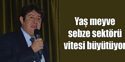 Yaş meyve sebze sektörü vitesi büyütüyor