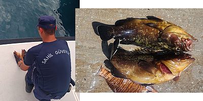 Yasadışı orfoz balığı avlayanlara ceza yağdı