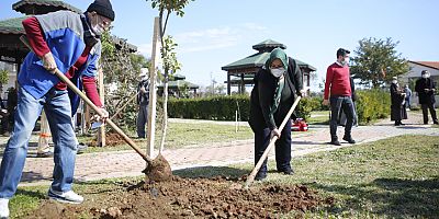 Yaşlılar Haftası’nda huzurevi sakinleri ağaç dikti