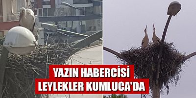 Yazın habercisi leylekler Kumluca'da